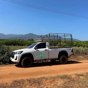 HerbHunters - Auf der Suche nach den besten Heilkräutern der Welt